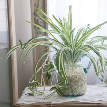 1 buc Chlorophytum Comosum Verdeață artificială Home Hotel Decor Artificial Spider Plant
